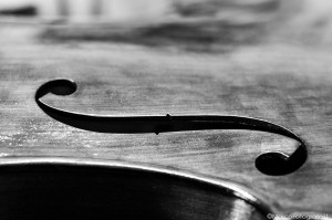Musica